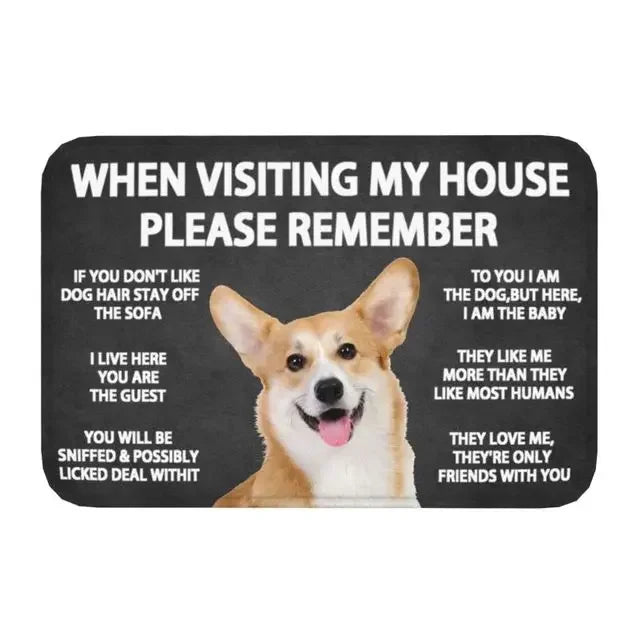 45365572337890|45365572370658|45365572436194|45365572534498