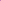 3pcs-Fuchsia shell