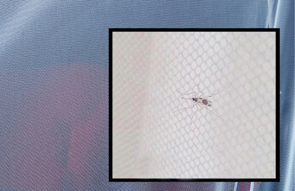 Baby Stroller Cradle Mosquito Net