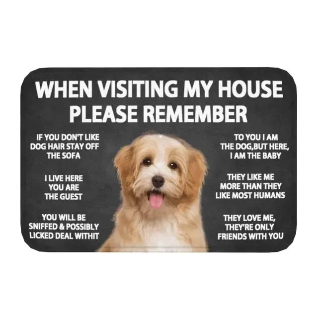 45365571387618|45365571420386|45365571485922|45365571584226